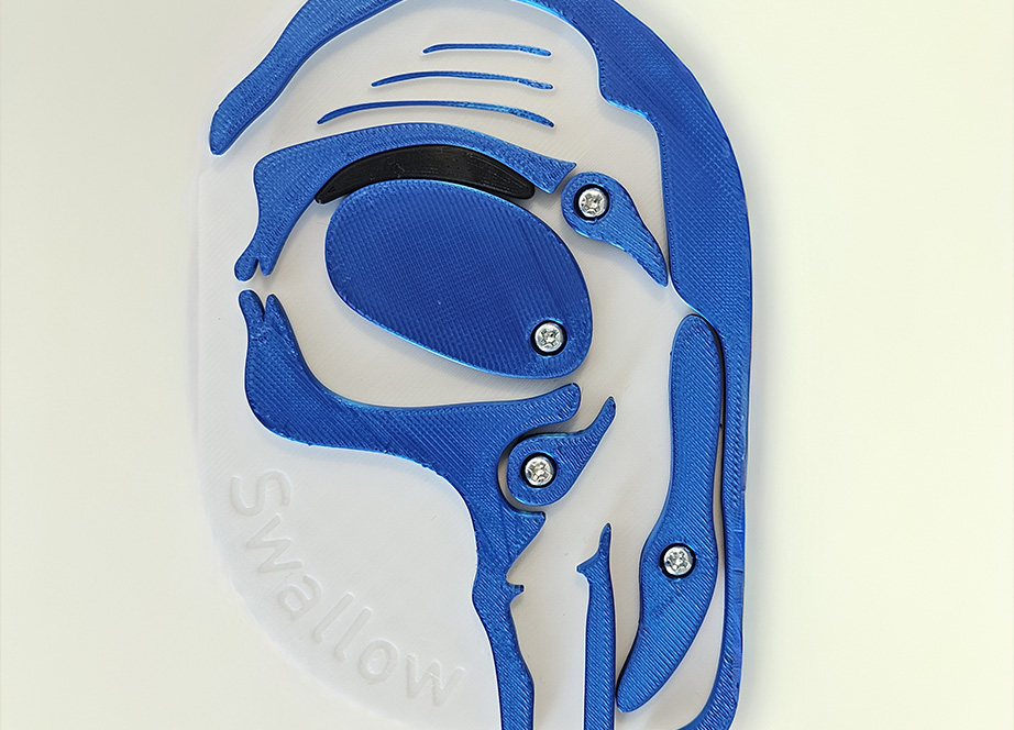 摂食嚥下ポケット模型